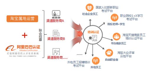 阿里巴巴人才认证来啦 持证上岗,我们是专业的 四川新华电脑学院官网 计算机it人才培训基地