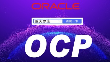 oracle技术支持服务