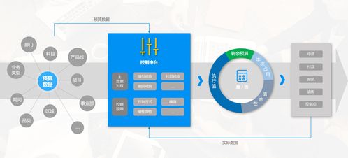 在预算管理的脉络中 寻觅国产软件的创新之路