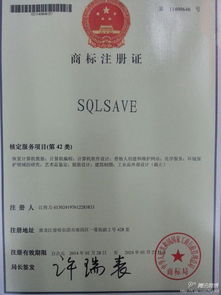 it黑龙江 市场商情