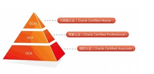 熊猫同学观察丨IT行业,网工都有啥高含金量的证书可考?Oracle篇